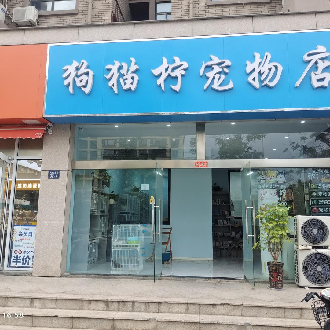 狗猫柠宠物店