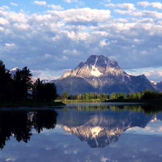 丹罗夕奴公司直播号