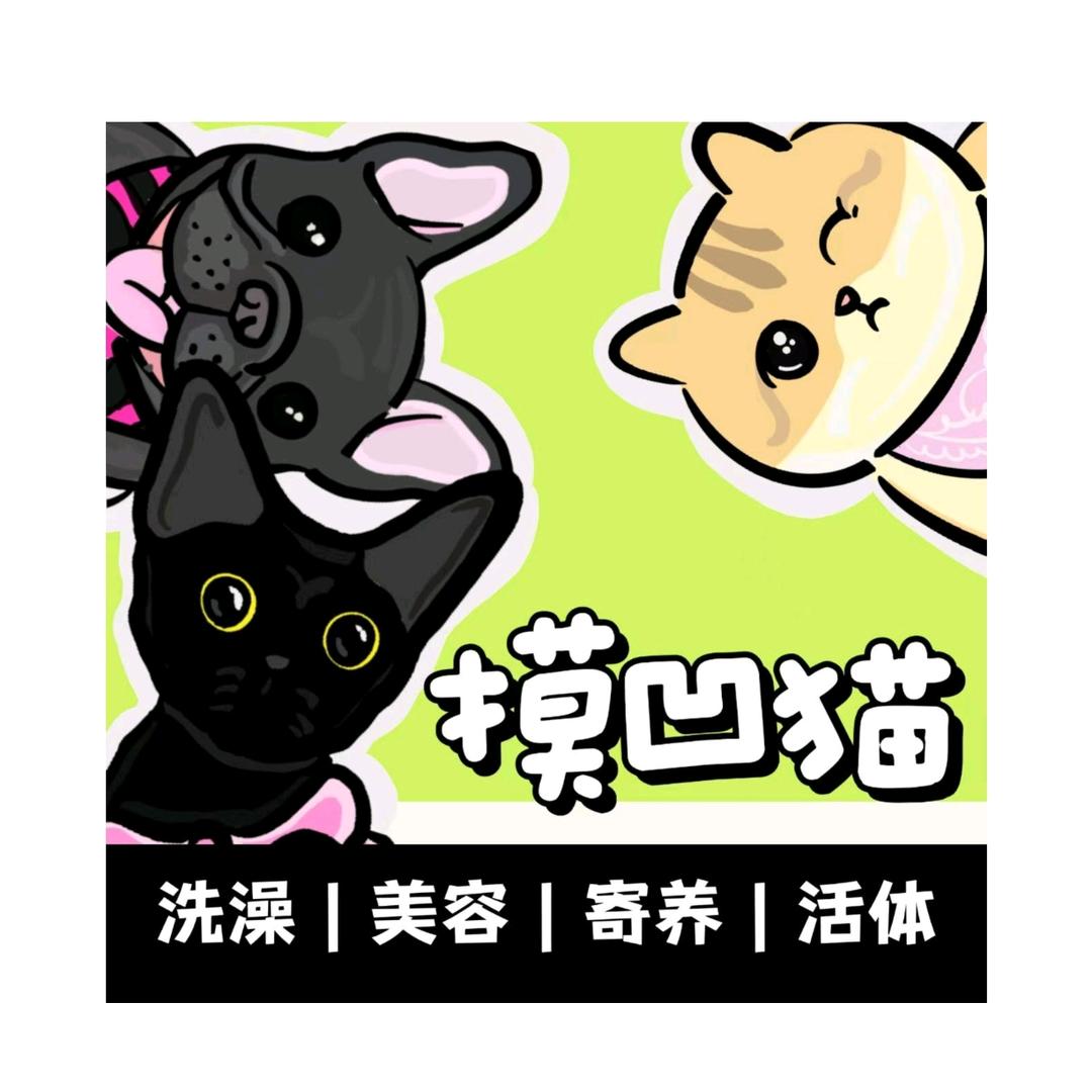 摸凹猫宠物-北京朝阳