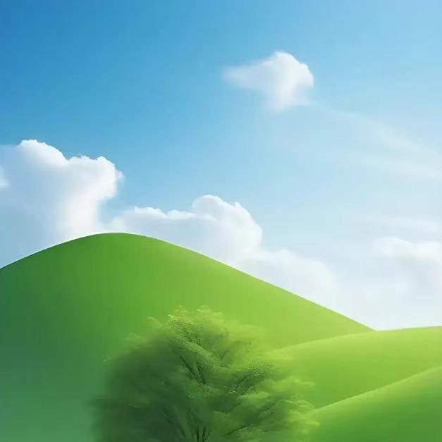 陀钦的2341福利号