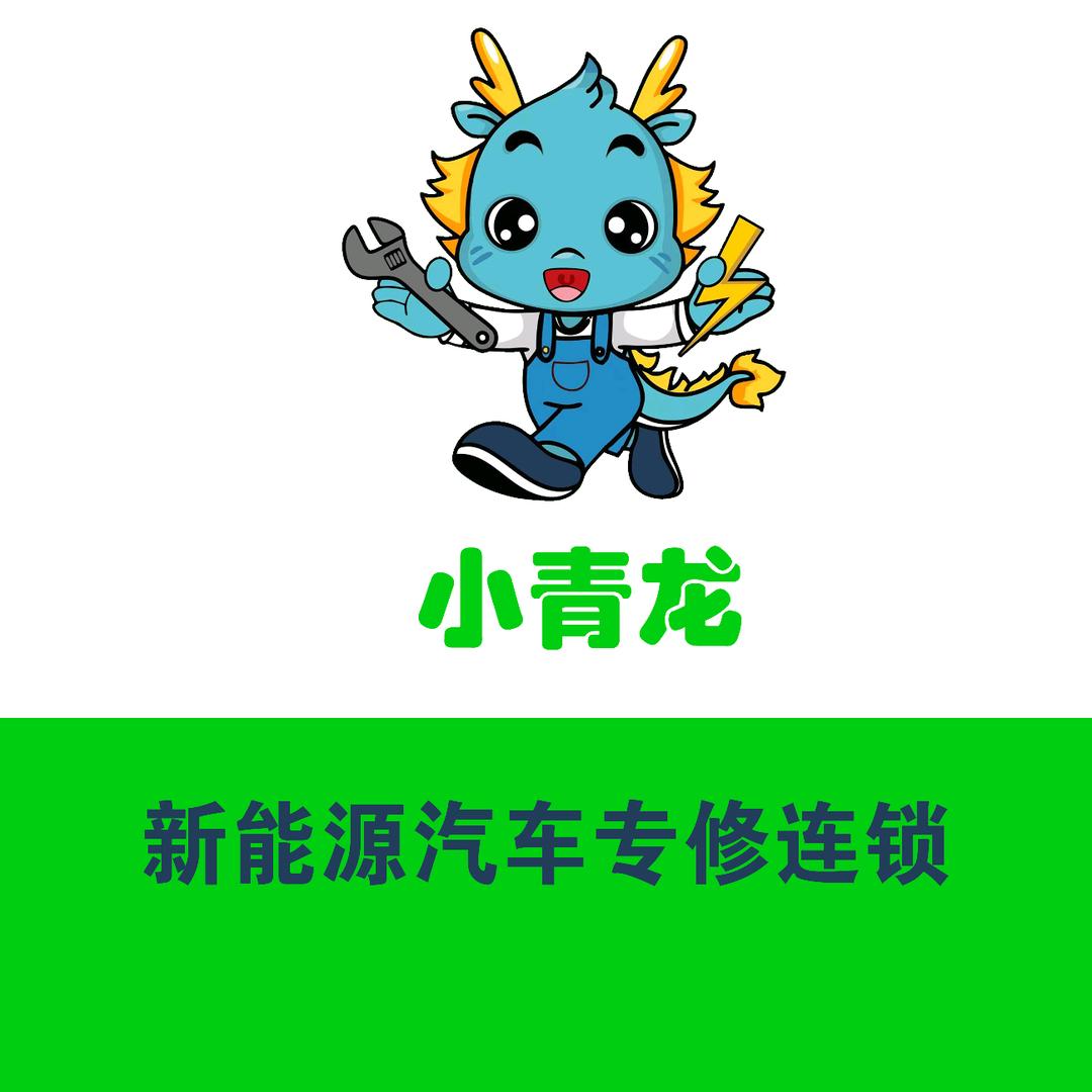 小青龙新能源汽车维修特训营