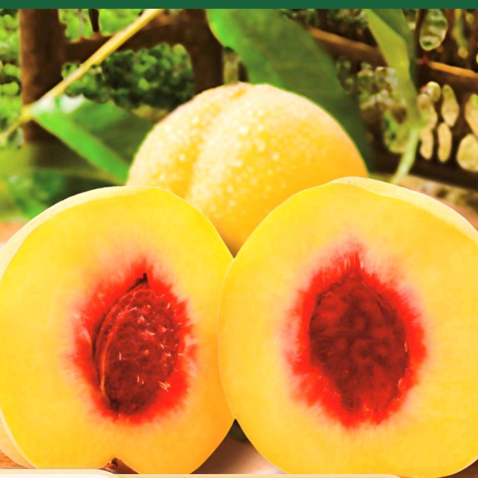 万果香(曙光星城店)