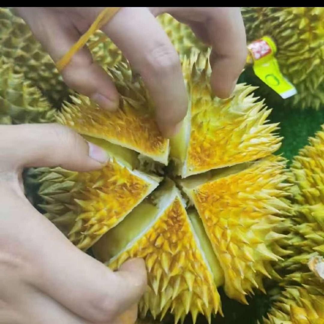 河间好东西优选水果团购