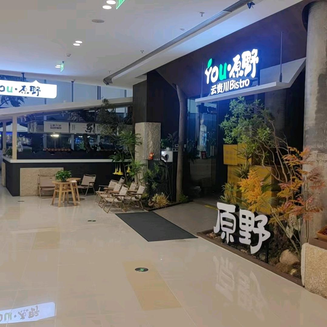 You·原野官方号