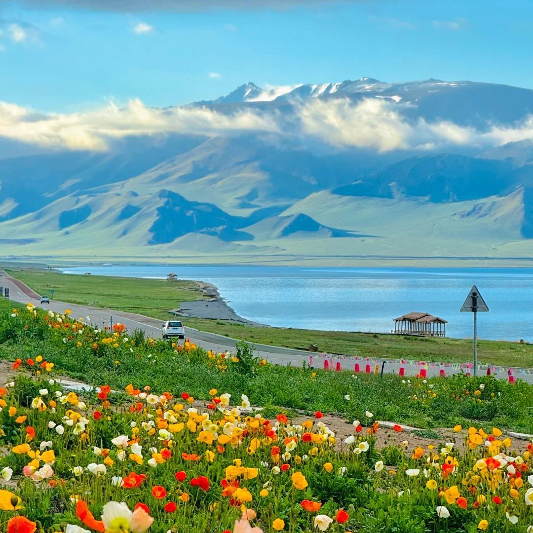 新疆晨旭导游小彦