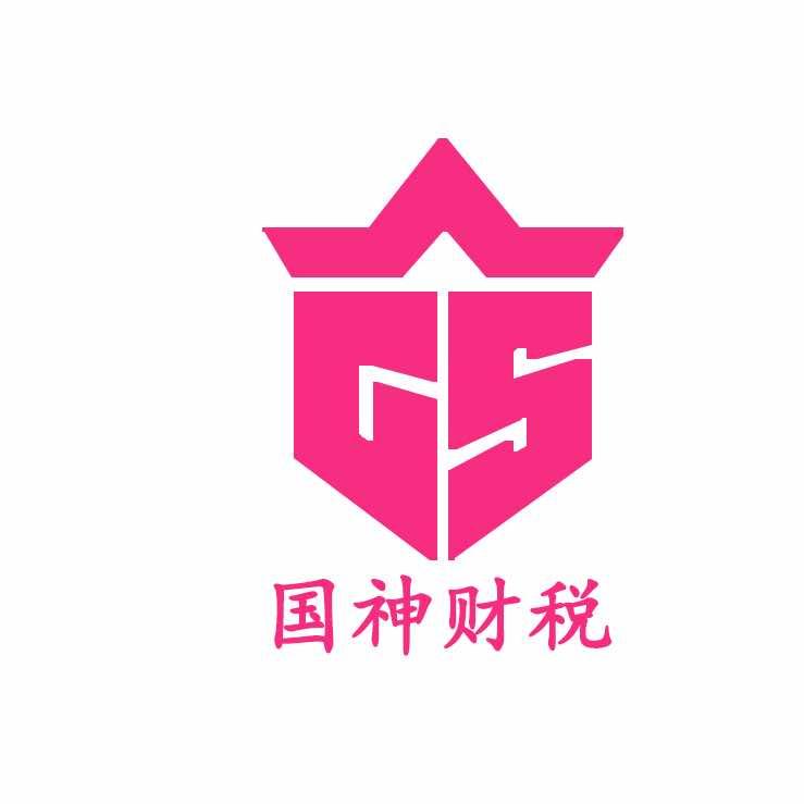 国神财税小小徐