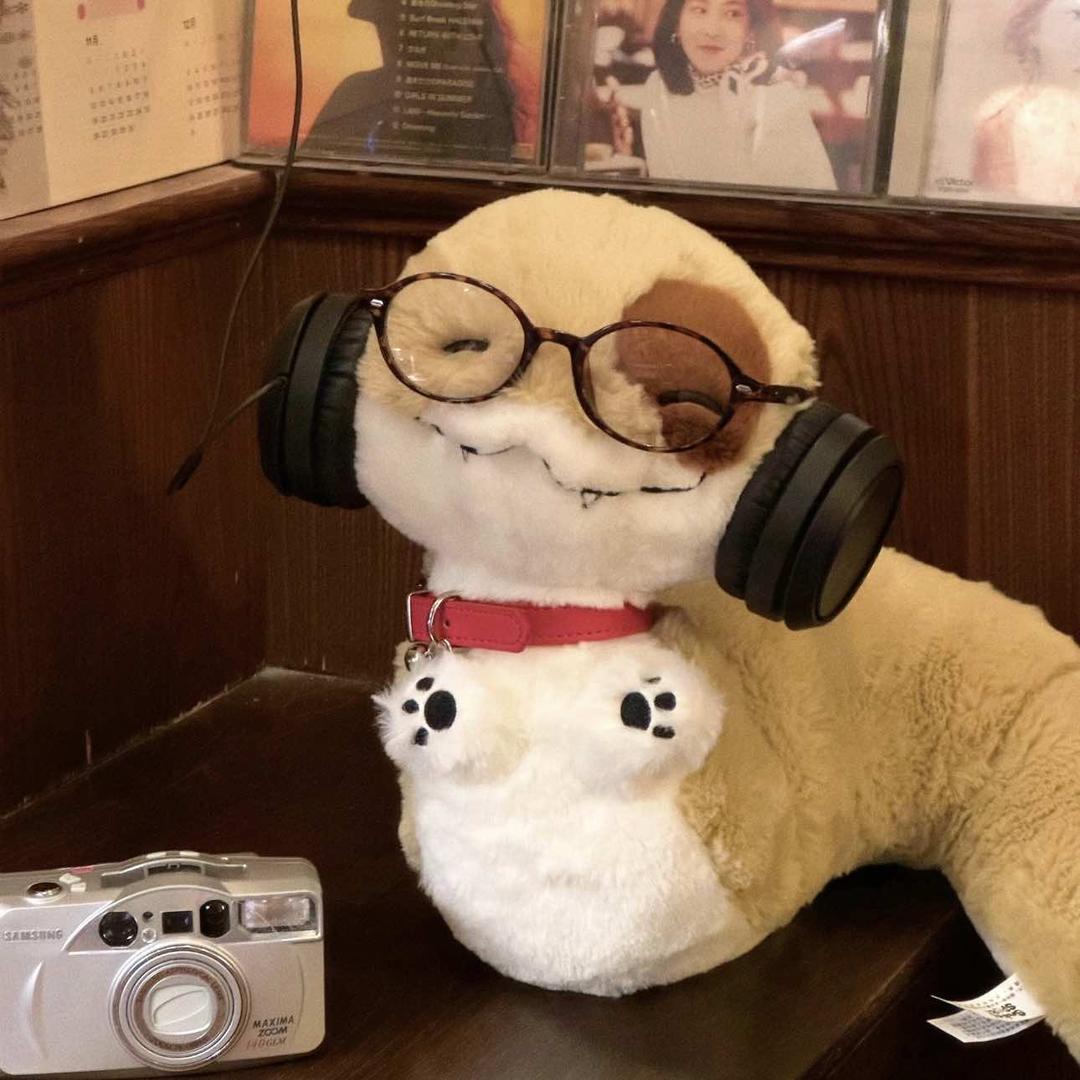 宠而幸绘石家庄聚格爬宠