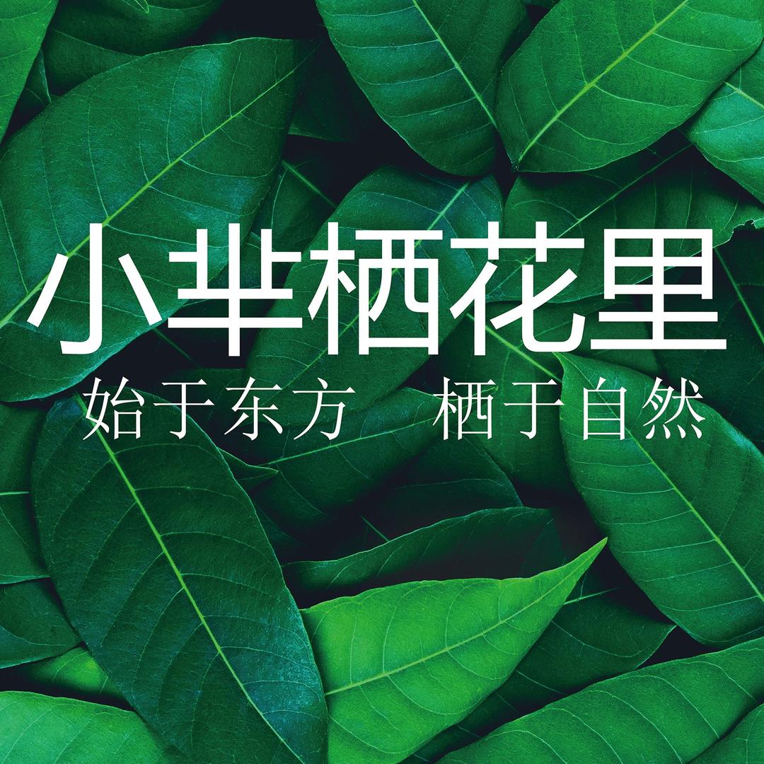 小芈栖花里(海拉尔东街店)专用号