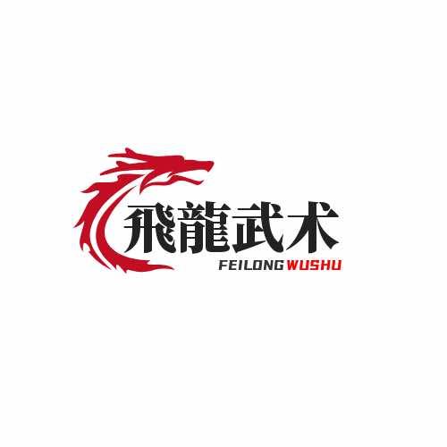 飛龍武术旗舰号