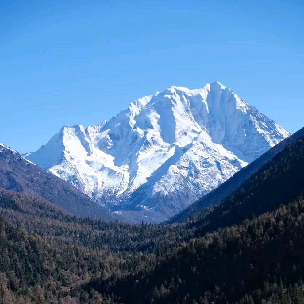 嗨皮旅行社｜官方账号