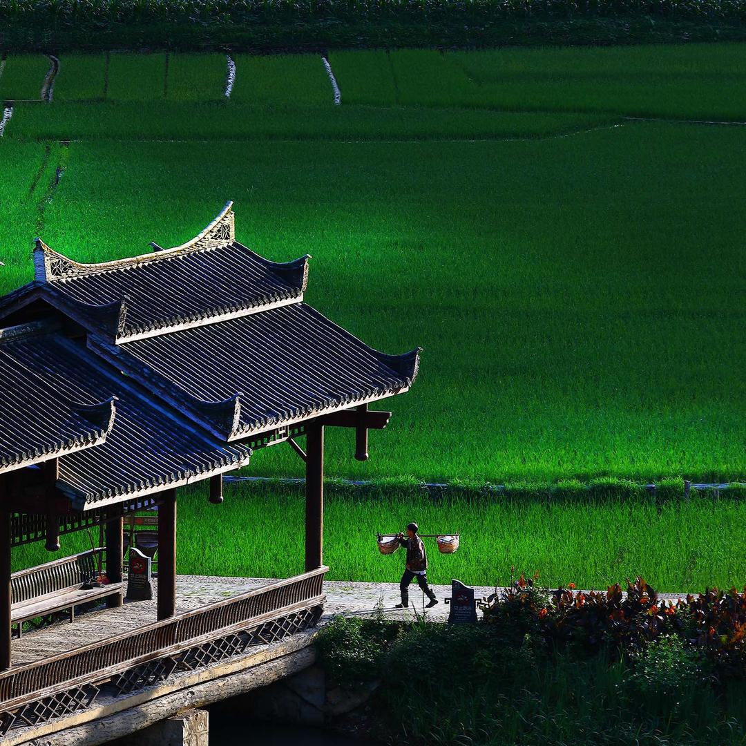 广南坝美世外桃源旅游景区官方号