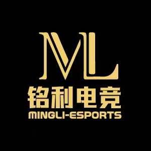 铭利电竞义网（桥头店）