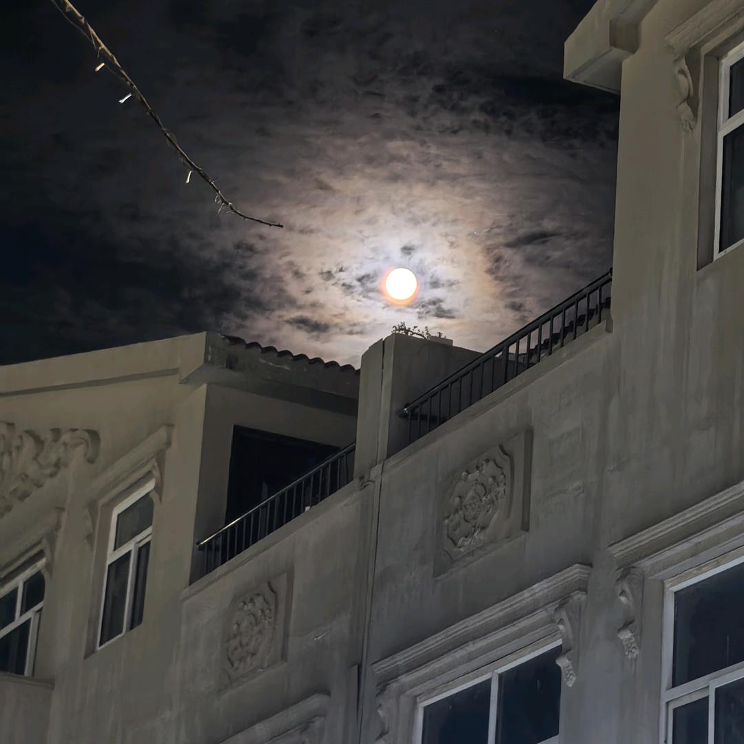 摘果园水果超市