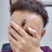 一只蟀超历险记
