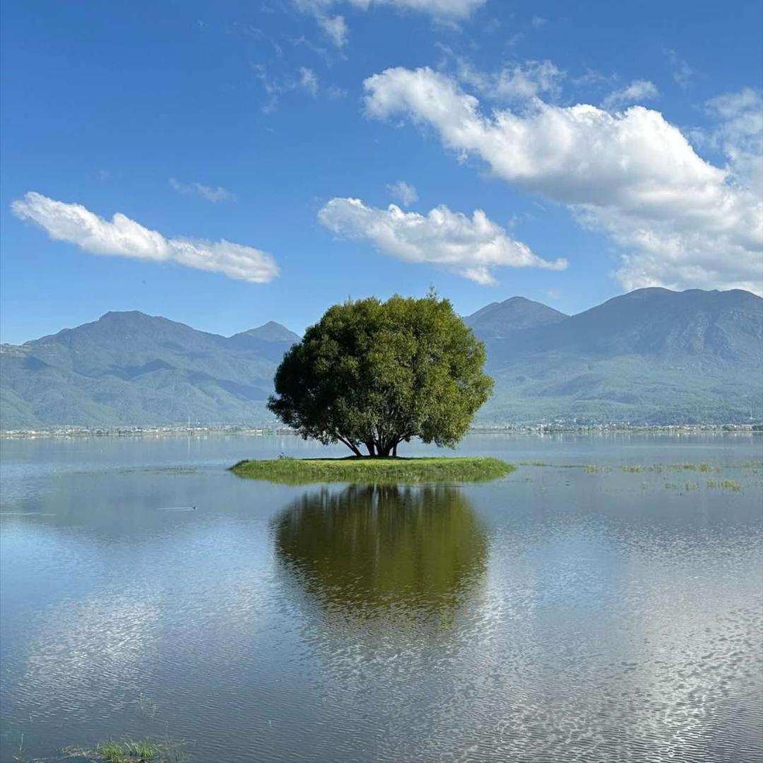 拉市海鸟屿花乡生态公园