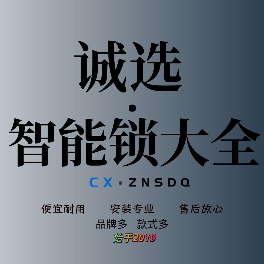诚选智能锁大全(嵊州吾悦店)