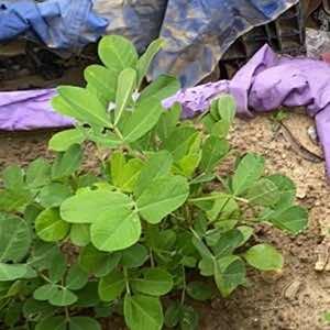 搽南商贸五金号