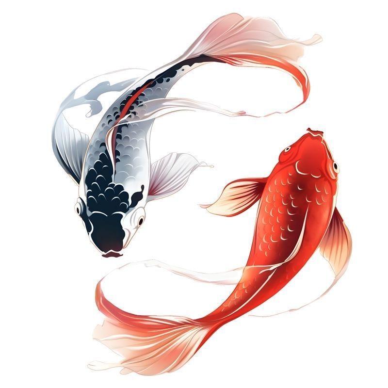 鱼啊鱼生活号