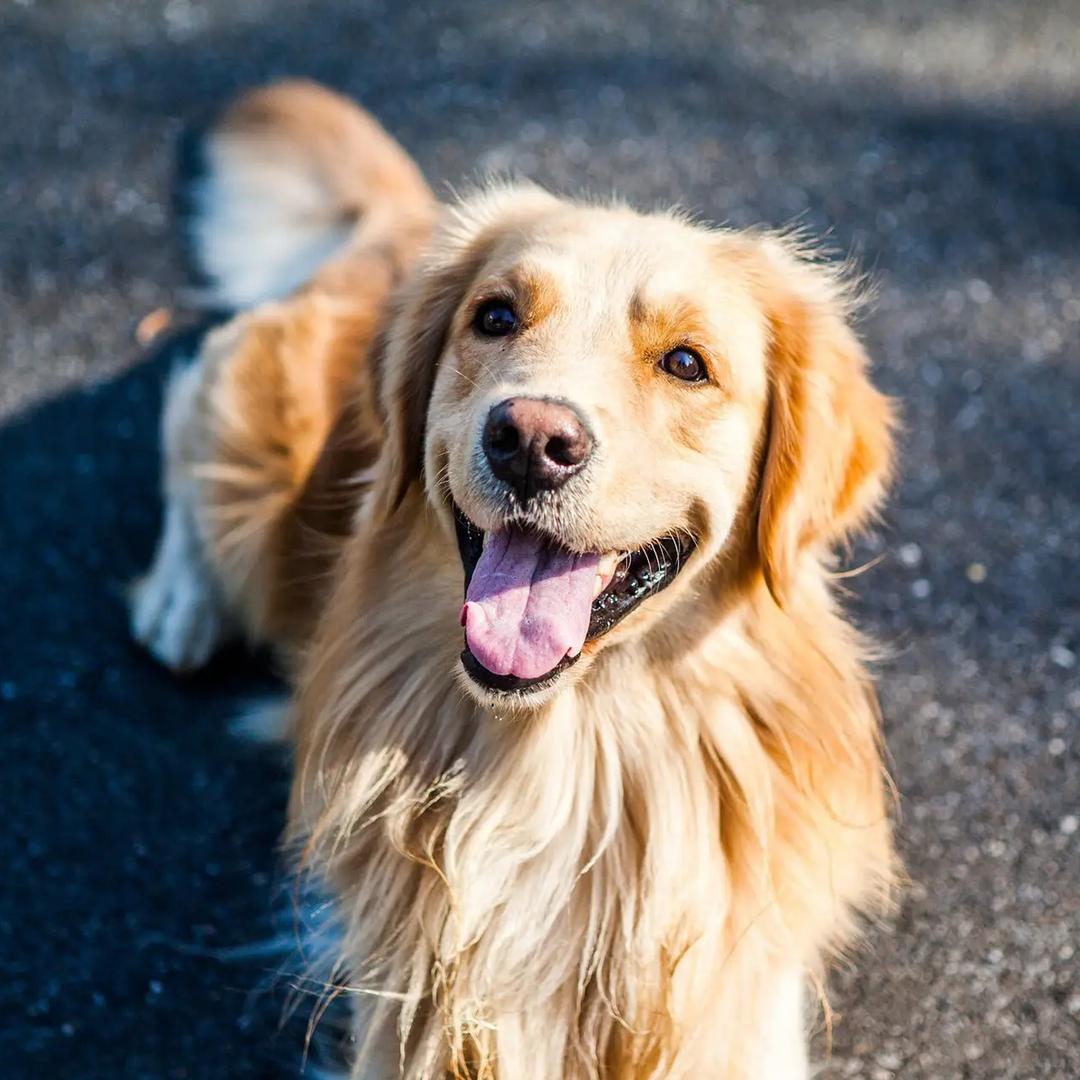 广机械设备直播号