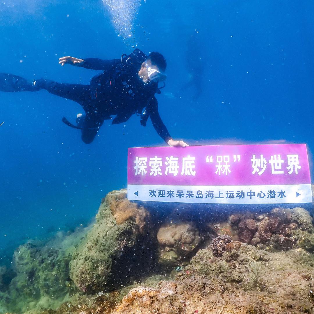 潜梦旅行