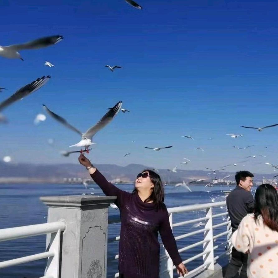 领航换油中心（海丰汽修）