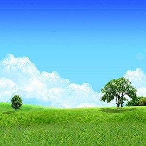 香格格鲜花馆为米日常号