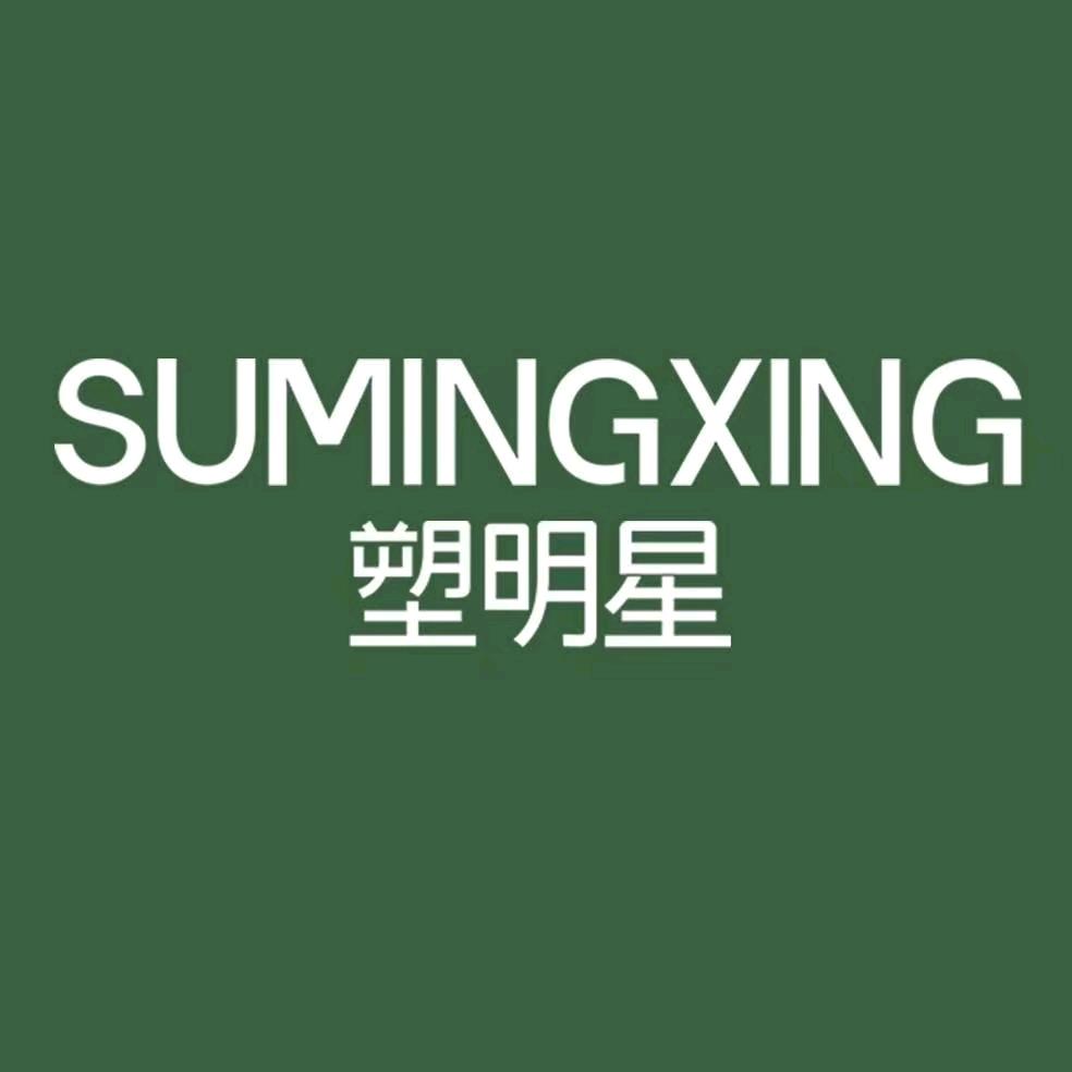 塑明星（国宾大酒店店）