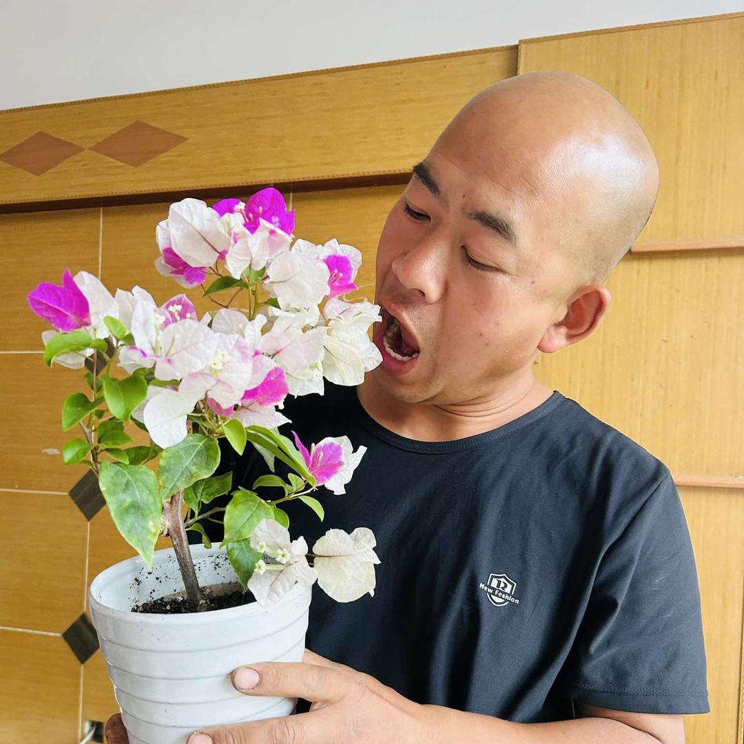 英子花卉
