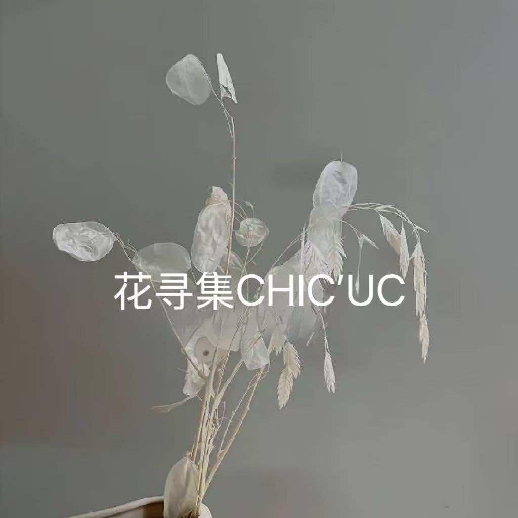 金坛花寻集韩版女装