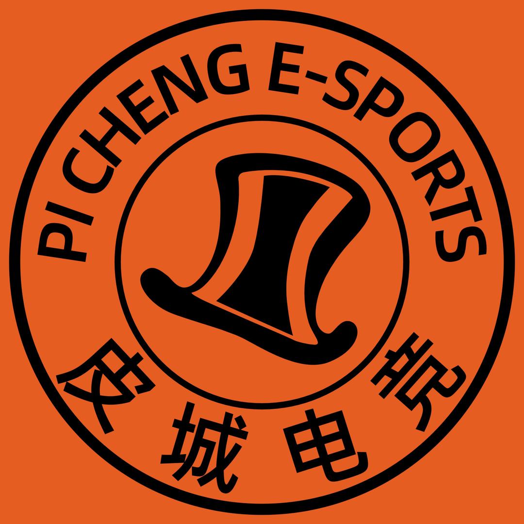 皮城电竞·(万宝店)官方号