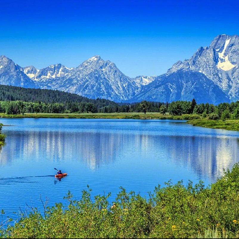 璇悦大鱼直播号