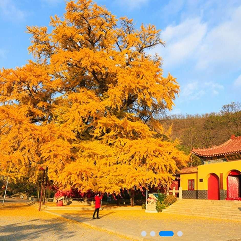 安丘城顶山公冶长书院
