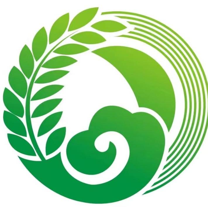 蕙月芗