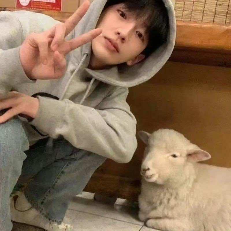 构付-辣炒雪媚娘-运营号