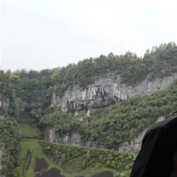 易选便利店宠粉号