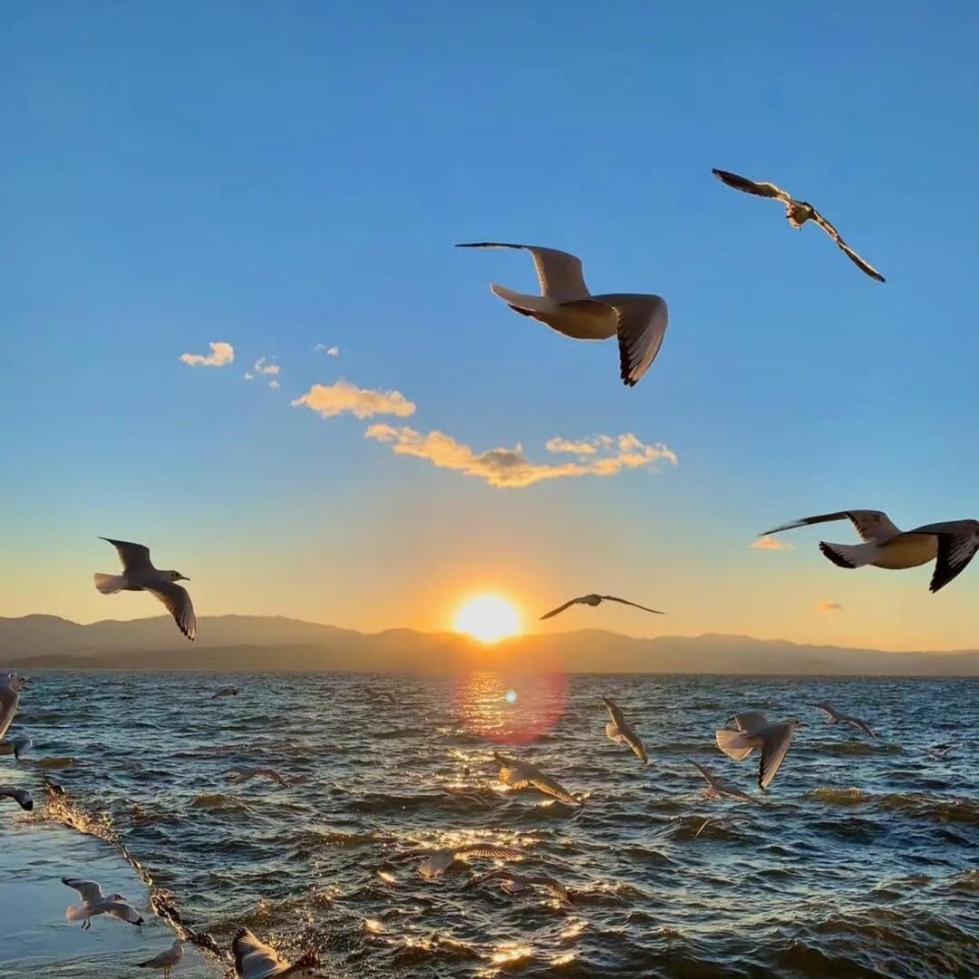 武汉市层银刹宠粉号