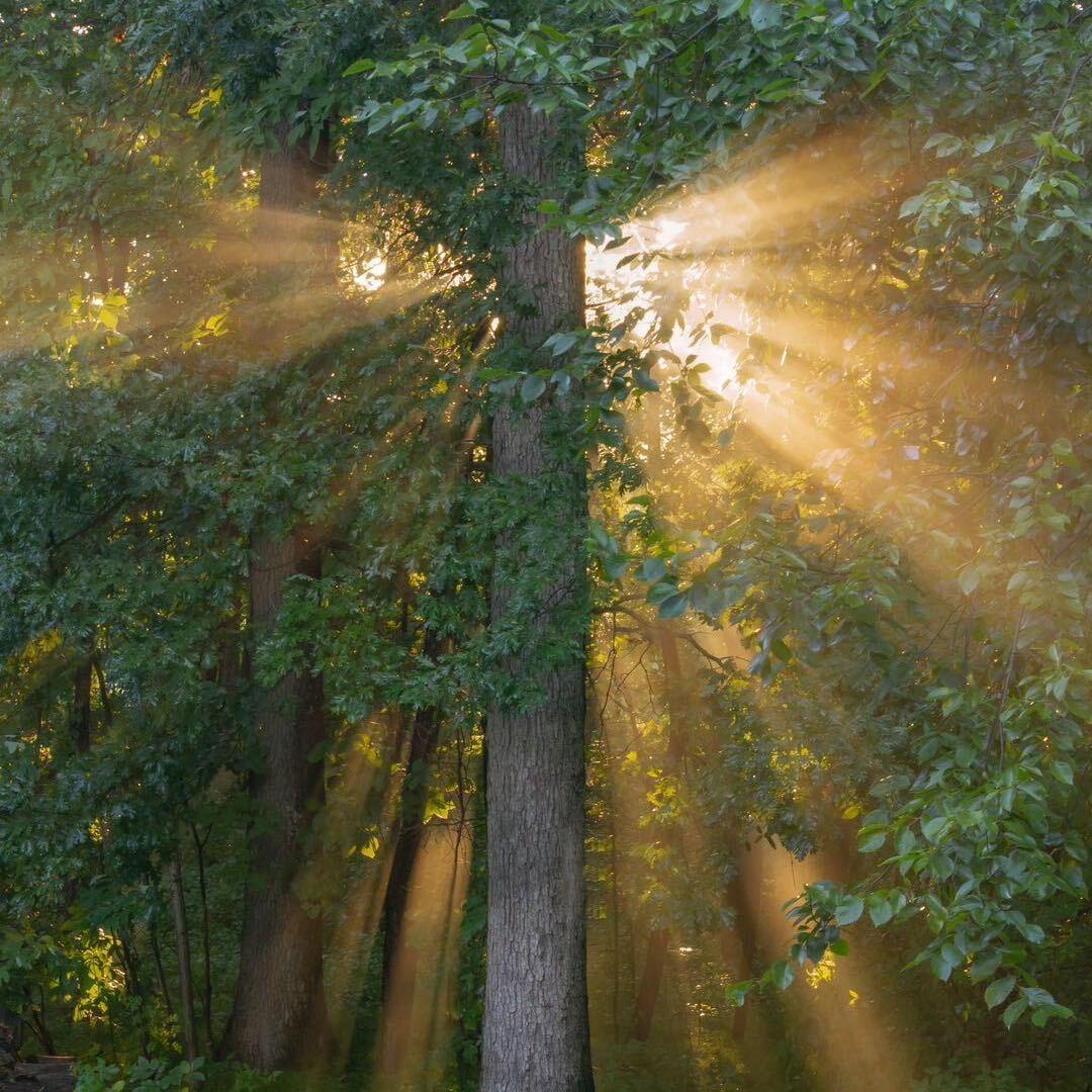 永发拉链宠粉号