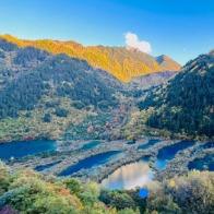 广州聚沁服装有限公司亚直播号