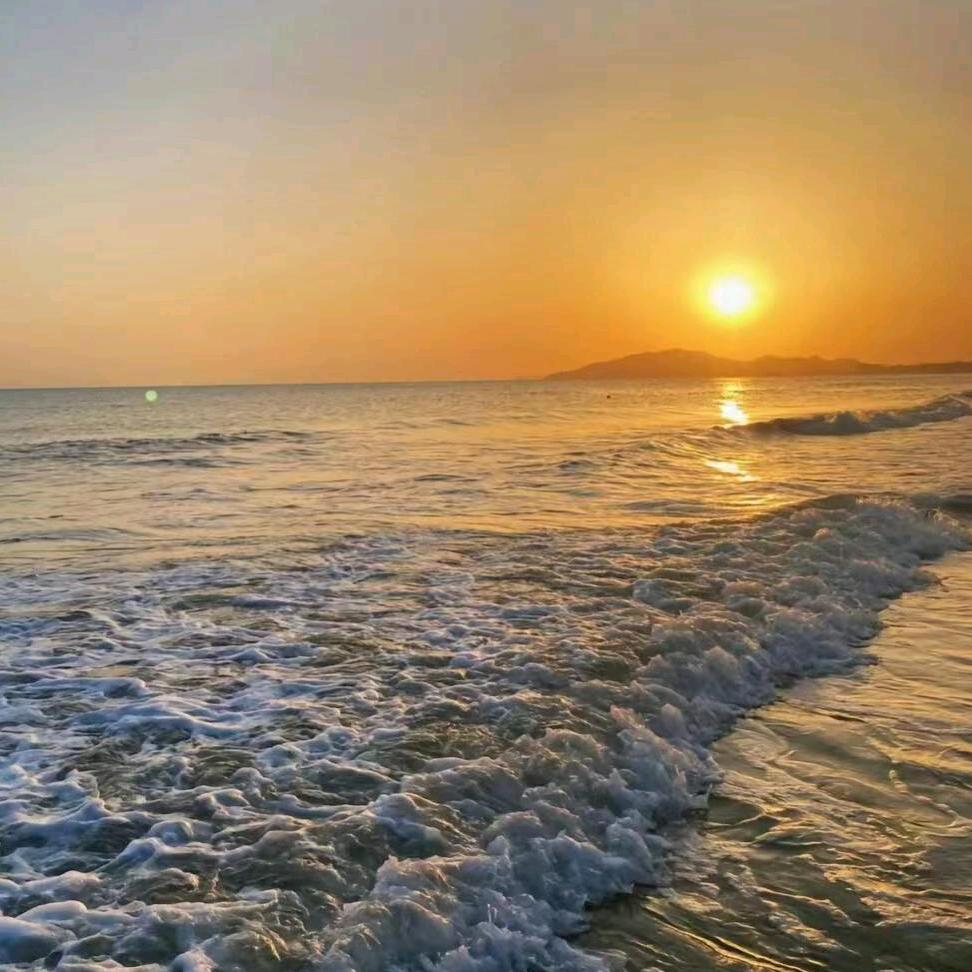 双月湾赶海沙滩(万科店)官方号