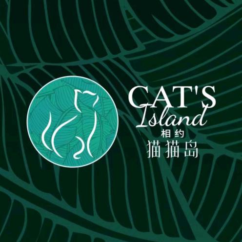猫猫岛