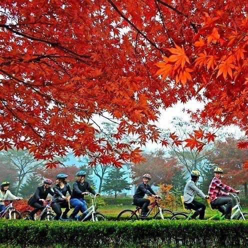 四明山国家森林公园