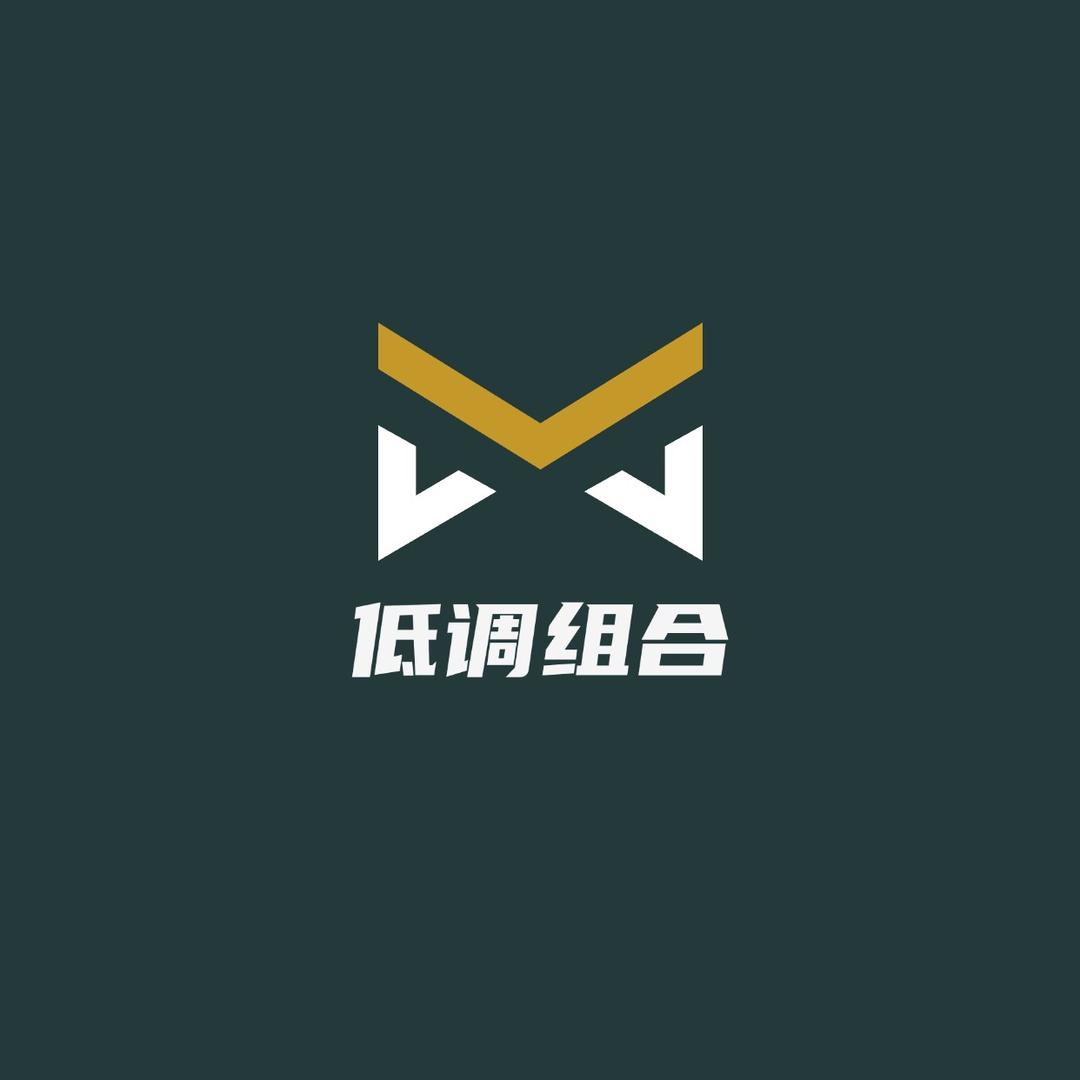 低调组合汽车服务团购号