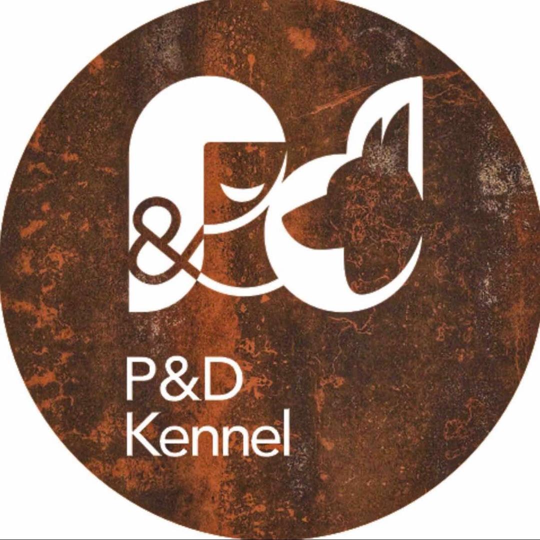 那人那狗赛级德牧专业犬舍