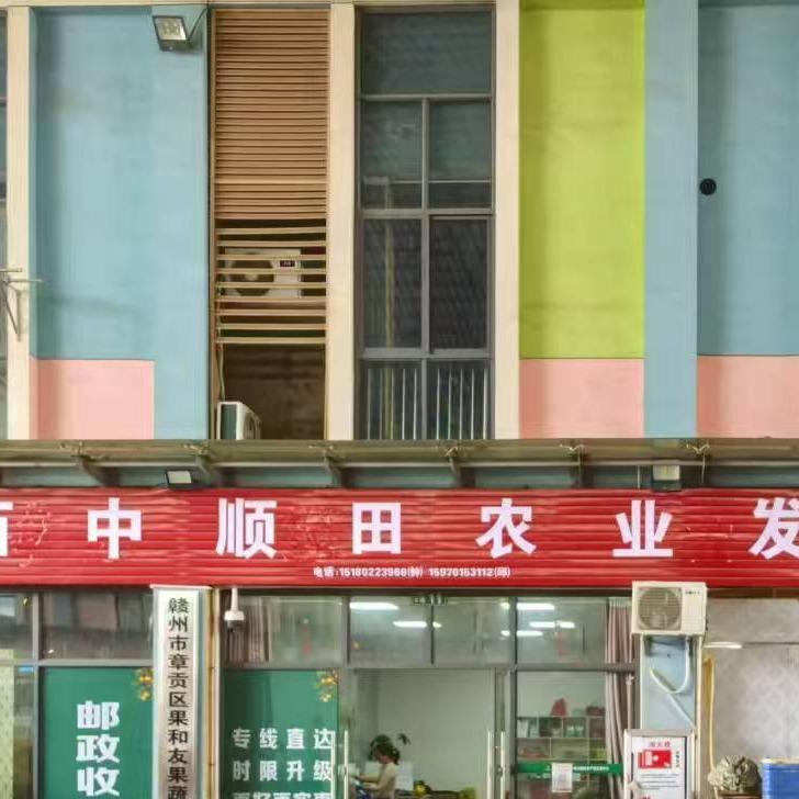 中顺田农业水果批发