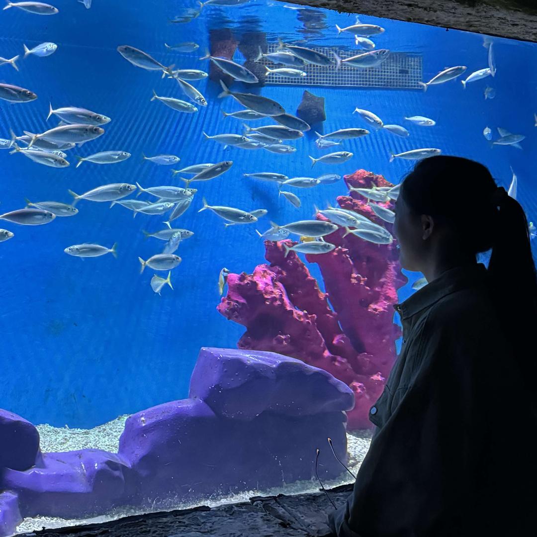 大同馨卡莫花艺官方号