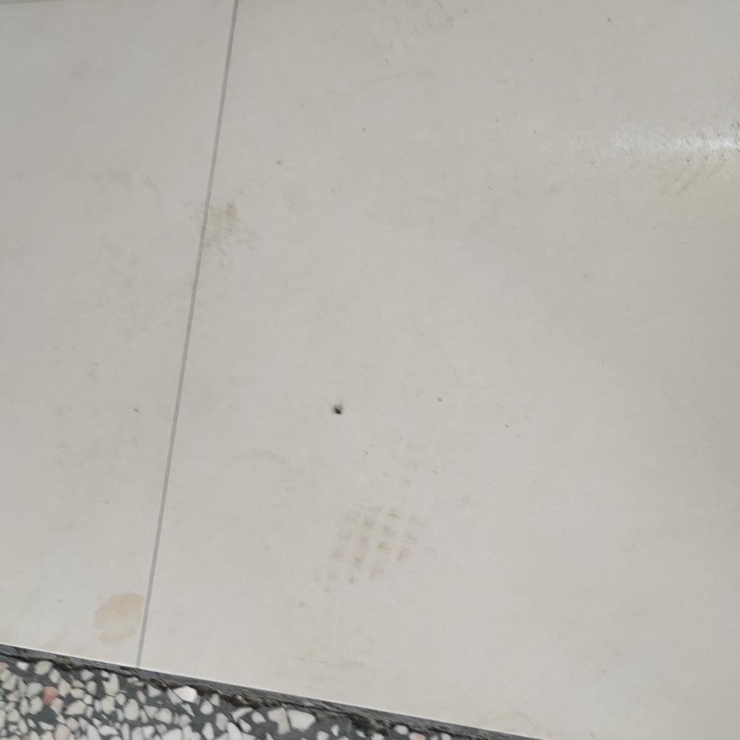 哦扣扣扣直播号