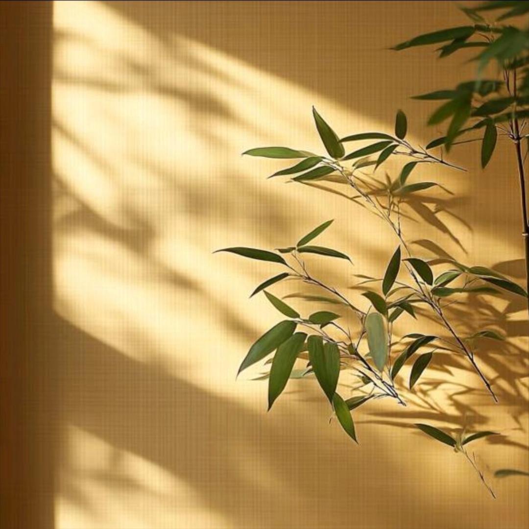 尔欣和.工作号