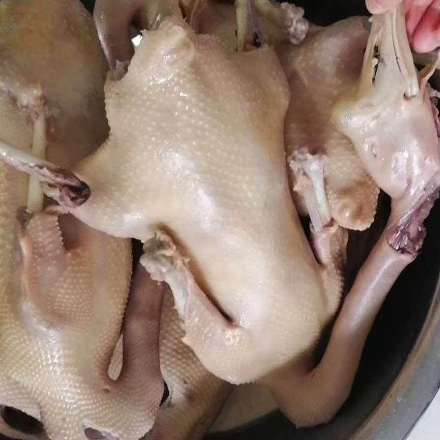扬州瑞朵王记鹅保长