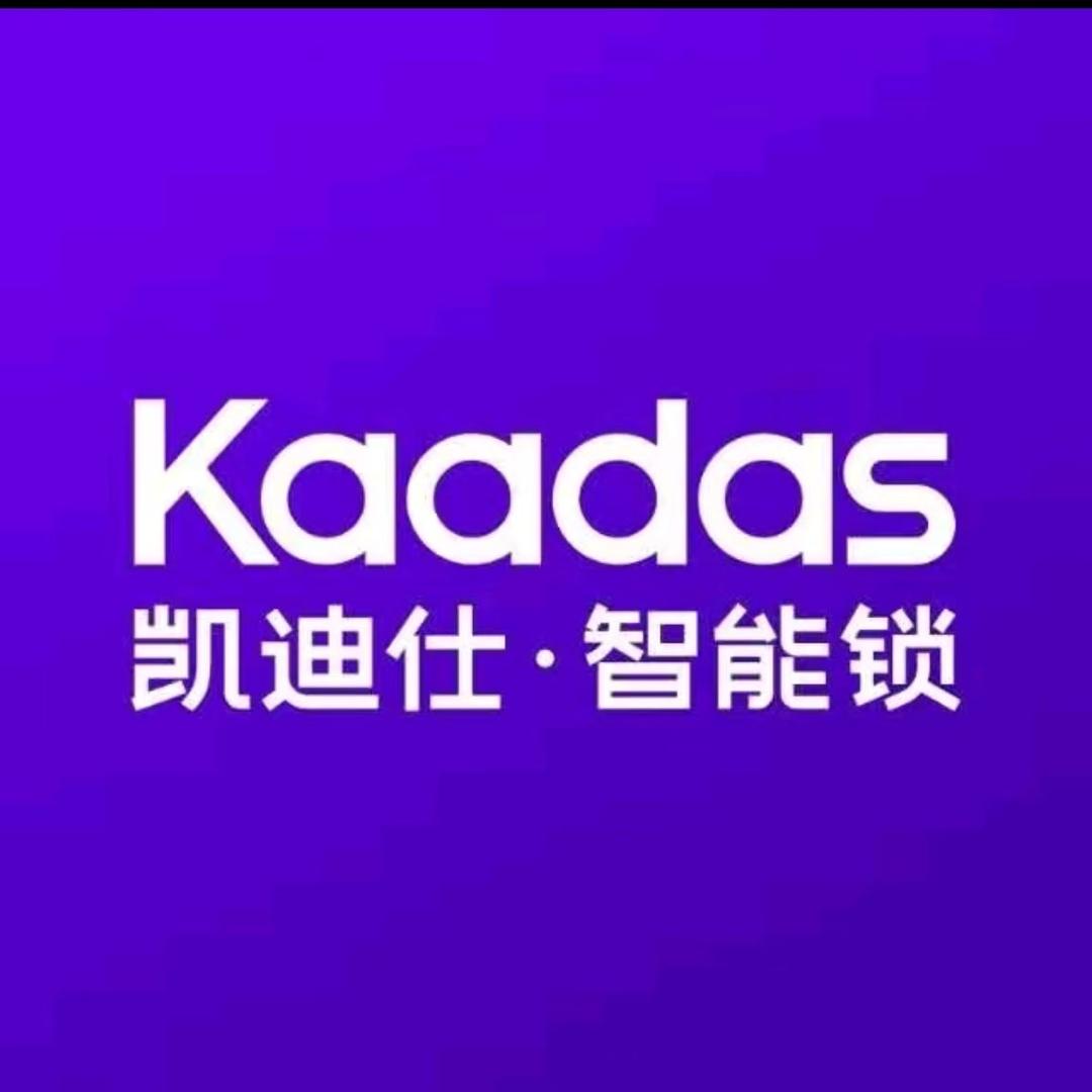 凯迪仕·智能锁(南岳路店)专用号