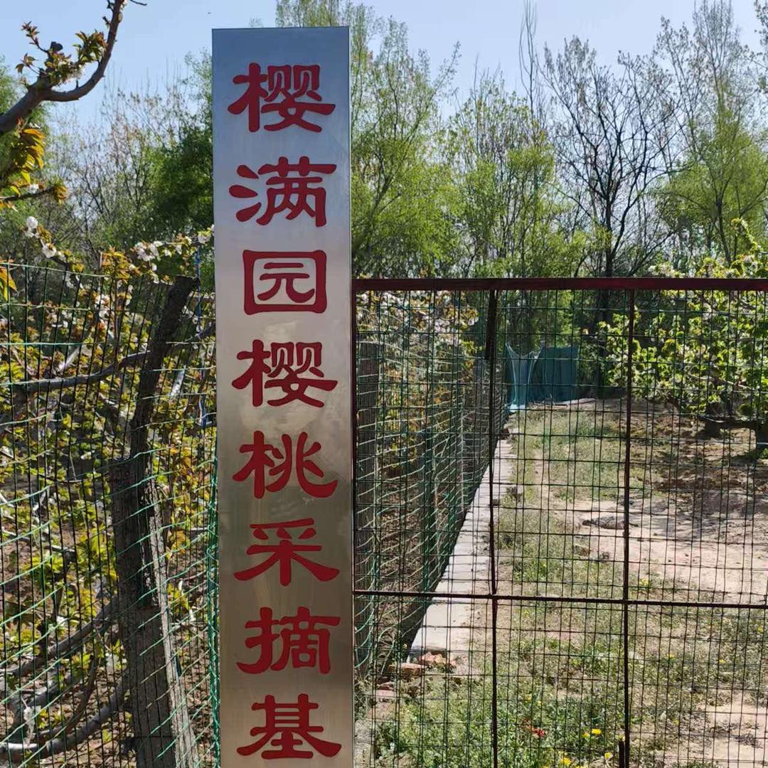 郑州樱满园樱桃采摘基地